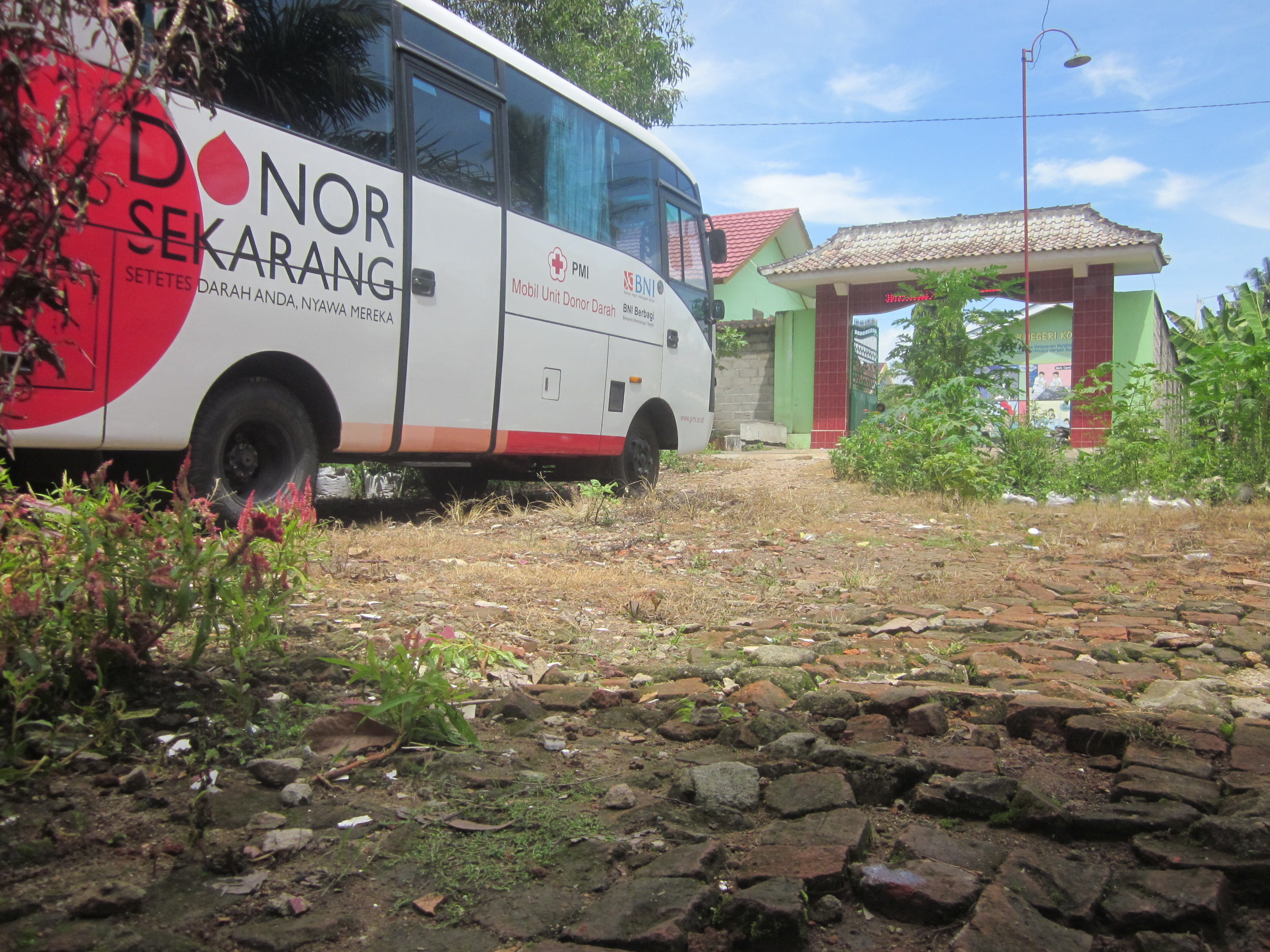 Donor Darah Anak ABK